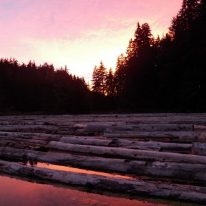 There was a log raft of what appeared to be salvaged cedar.  I just tied up to it.