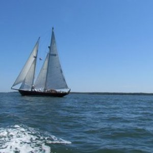 Pretty sailboat