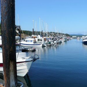 C-brats on Saturday May 16th at Friday Harbor