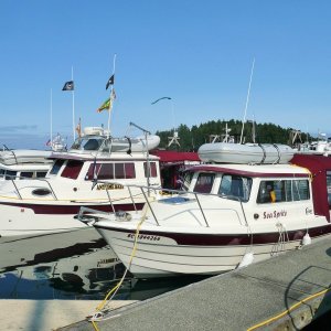 Saturday May 16th Friday Harbor