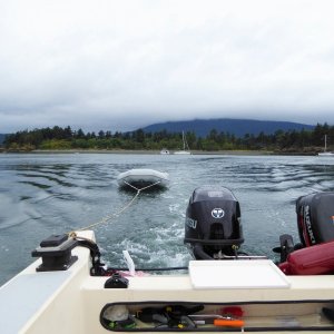 I awoke Sunday morning to rain on Clark Island, left the buoy with dinghy in tow, heading towards Sucia.