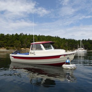 Initially grabbed a buoy in Shallow Bay on Sucia.