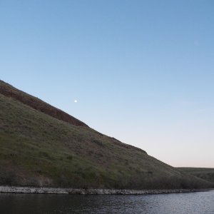 The moon comes up and muskrats swim by.