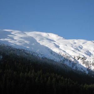 IMG 3450
