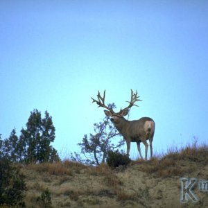 image0033