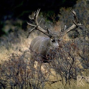 image01212