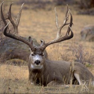 image01313