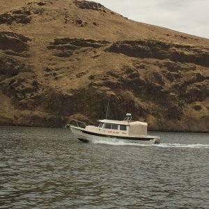 Cat Claw on the Snake River
