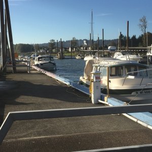 Our flotilla at the Port of Camas transient dock