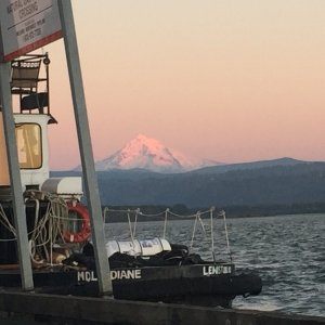 Mt. Hood this morning, as seen from Camas