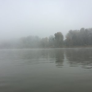 Foggy beach