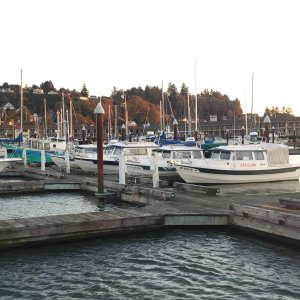 Docked at Port of Astoria (West Basin)