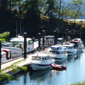 The boats at Conover Cove dock