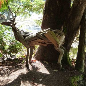 Deer sculpture from driftwood at Montague harbour