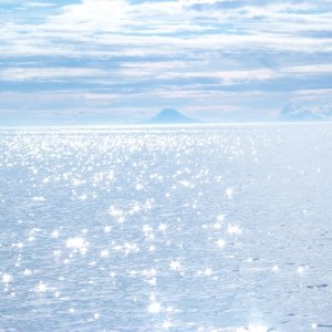 Media 'Augustine Island, Cook Inlet, Alaska' in album 'Homeward bound C-Dory
Feb. 28, 2003'