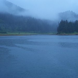 Media 'Prince William Sound seems like a good place to try out the rain cover.' in album 'Homeward bound C-Dory
Feb. 28, 2003'