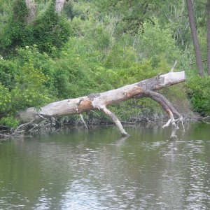 Many hazzards to navigation