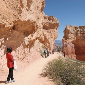 Stroll through Bryce Canyon