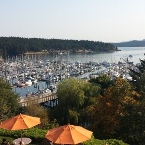 Media 'The view from our room at Friday Harbor House' in album '11th anniversary couple'