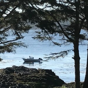 Media 'Back at our Balaklava Island mooring' in album 'Our anchorage on Balaklava Island'