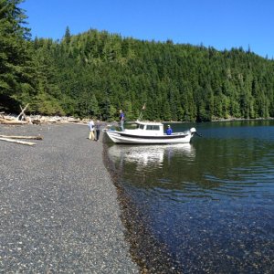 Media 'Raven on Hope Island beach, near Cape Scott and Blunden Harbor' in album 'Our anchorage on Balaklava Island'