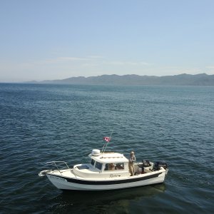 DJI 0067