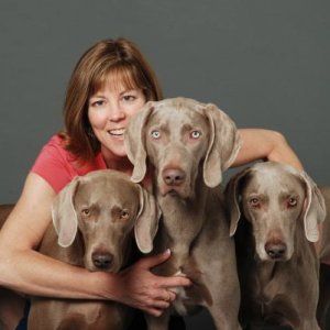 Dana, Koko, Lulu, Yogi