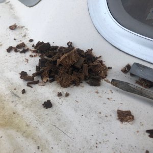 At least the water logged coring was easy to remove.