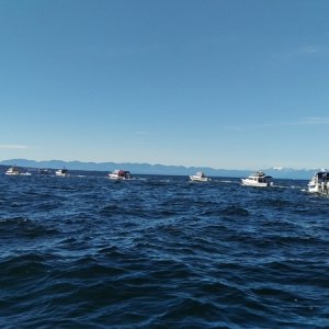 IMAG0601