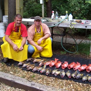a few bottom fish