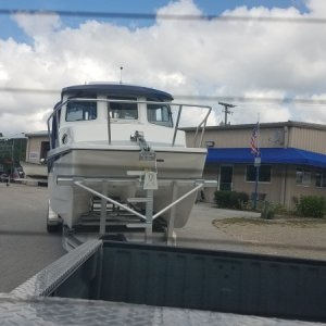 Funny, it didn't look this big in the water.
