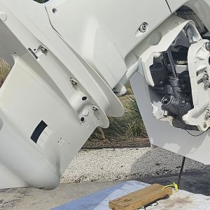 Tilt/trim seal blew on the port motor.