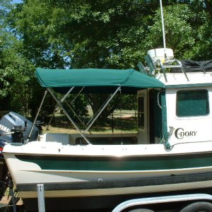 Bimini top