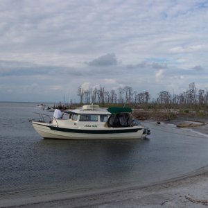Media 'Miss coast...Ship Island...east end' in album 'Vicksburg,MS....cypress logs in canal'