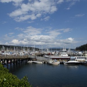 Friday Harbor marina on Saturday of Labor Day weekend 2018