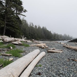 Porcher Island