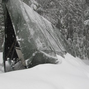 Buried in snow, February 2015