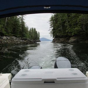 Entrance Clarke Cove, Princess Royal Island (Campania Sound)