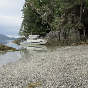Cherry Islets, southeast off Pitt Island (Squally Channel)