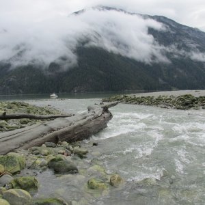 Price Cove, Gardner Canal
