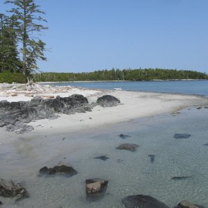 Goose Island