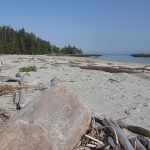 Media 'Goose Island' in album 'C-Dory 22'