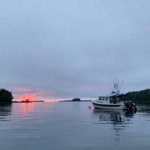 Borrowman Bay, Aristazabal Island