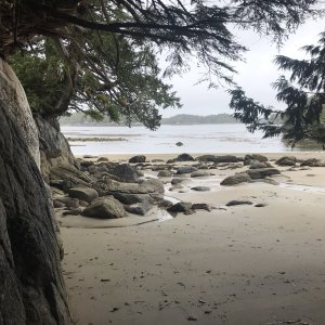 Triquet Island