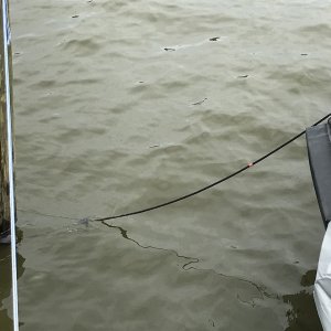 Tideminders
