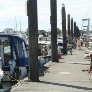 Mo boats