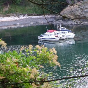Immacu-Nada, Rock-C, Susan E on Matia Island
