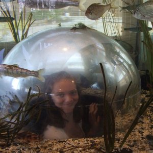 Tiffany Tanked