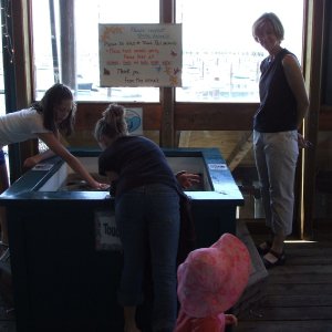 Marine Science Touch Tank