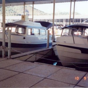 (C-Bill) Steve\'s (Seabran) left & Bill\'s (No-Name) right